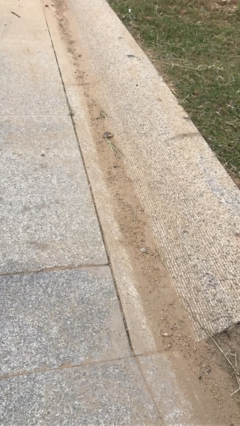 山东樱花红s型路沿石 山东樱花红s型路沿石