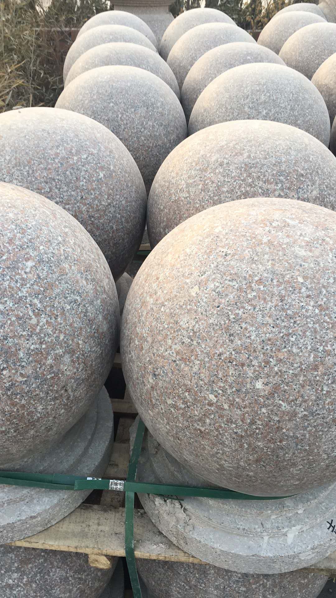 山东樱花红挡车球.jpg